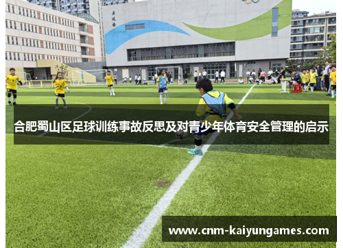 合肥蜀山区足球训练事故反思及对青少年体育安全管理的启示