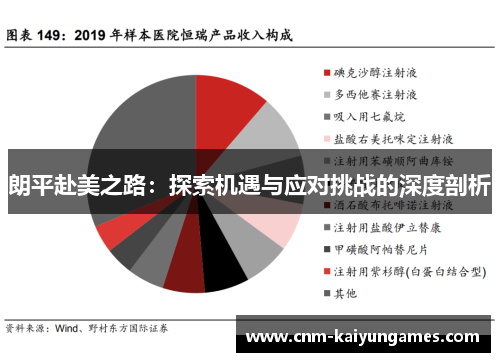 朗平赴美之路：探索机遇与应对挑战的深度剖析