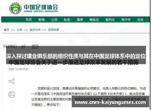 深入探讨建业俱乐部的组织性质与其在中国足球体系中的定位