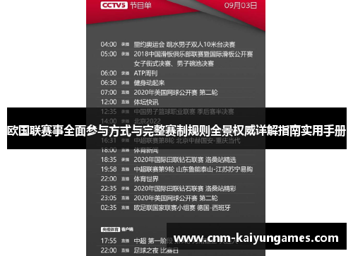 欧国联赛事全面参与方式与完整赛制规则全景权威详解指南实用手册